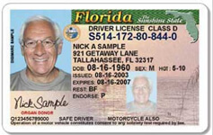 US drivers licence